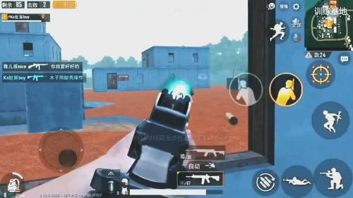 苟且偷生意思是什么生肖，苟且偷生意思是什么苟的意思