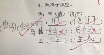 杉的组词，枚的组词