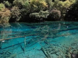 家乡美丽的风景作文300字，美丽的风景作文300字四年级