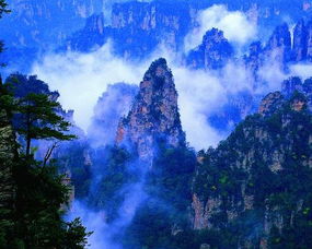 索溪峪自然保护区有哪些交通方式