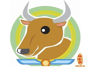 属牛的今年多大了2023年