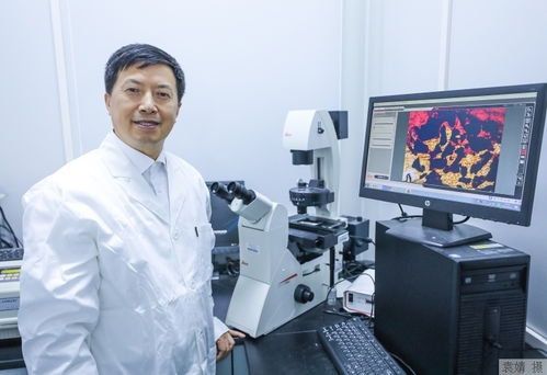 剜肉补疮是什么意思