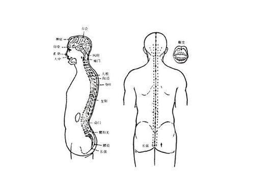 督脉经络图及走向图动图讲解，督脉堵塞的危害和疏通的好处