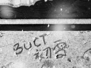 解释词语扑簌簌