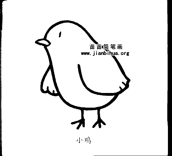 母鸡的蛋有哪些变化简笔画