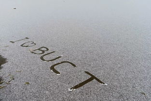 扑簌簌的拼音，眼泪扑簌簌