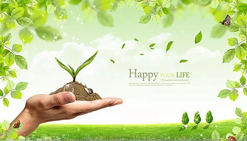 春天的消息简笔画，春天的消息作文