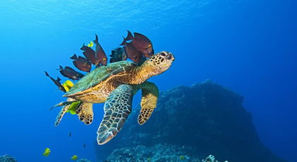 深圳华侨城有什么好玩的