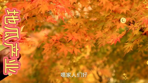 立秋的谚语有哪些