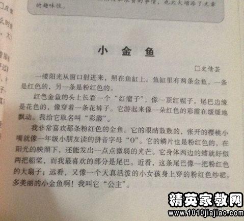 生活趣事作文300字，生活趣事作文500字