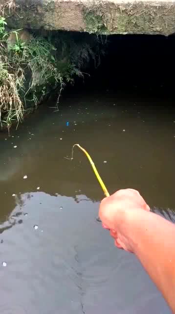 什么的竹竿填合适的形容词，什么的竹笋