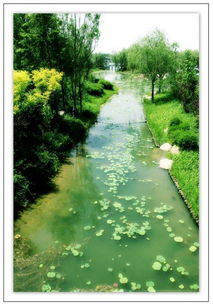 夏景古诗带拼音版