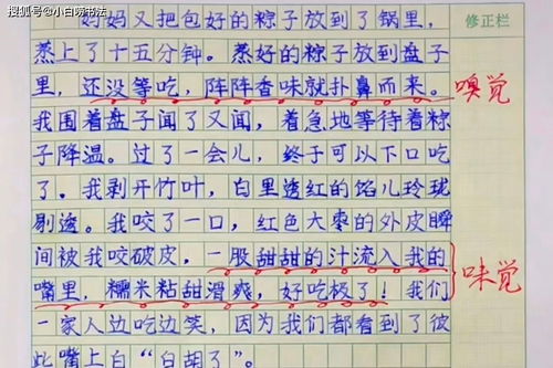 难忘的端午节作文500字精选5篇