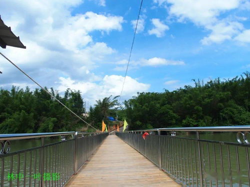 江水不浅,打一人名