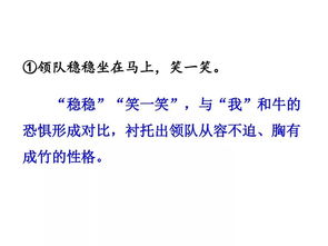 溜索的主要内容