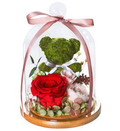 永生花的花语及寓意