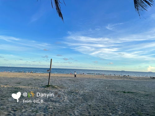 什么海没有边打一水果?