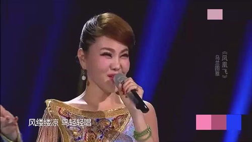 桃花谣谭晶演唱简谱，桃花谣谭晶歌词