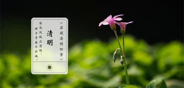 苏堤清明即事的拼音版