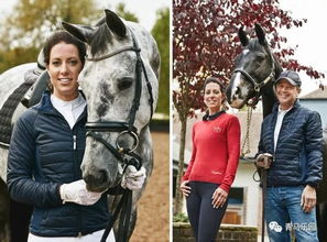 马工程，马工程是什么意思