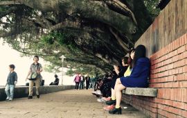 惠阳淡水天气预报，淡水天气预报15天查询