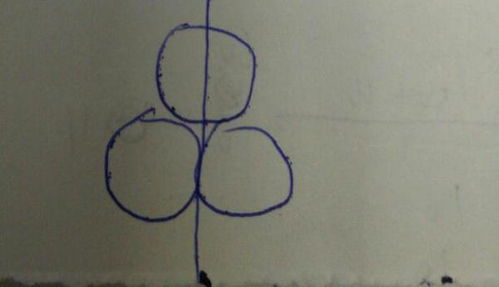 对称轴应画为实线还是虚线