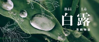 少年易老学难成一寸光阴不可轻的意思，少年易老学难成一寸光阴不可轻是什么生肖