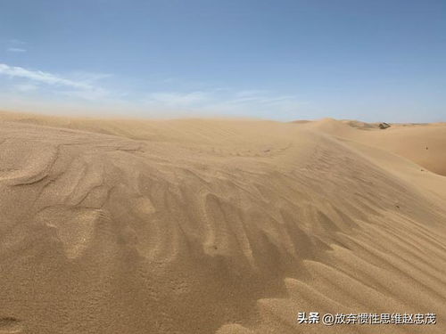 沙尘暴的好处有哪些