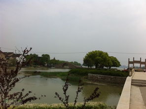 横泾石湖大酒店电话，横泾老街