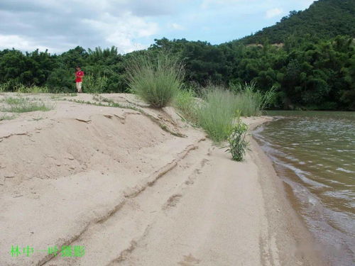 江水不浅是什么字，江水不深山不重读音