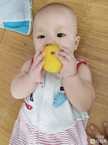 胖乎乎的小手一年级下册，胖乎乎的小手课件ppt