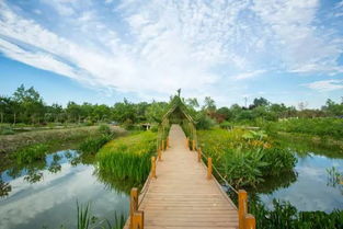 温江区旅游景点推荐