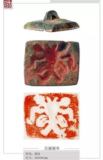 蜚廉在命宫，蜚廉入命宫