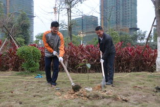 培土是什么意思