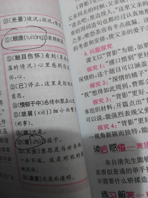 案拼音，它的拼音怎么写