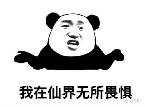 敷衍的近义词和反义词，敷衍的近义词成语