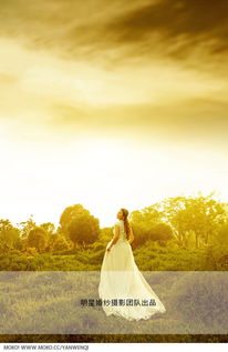 月心引力，月心寒魄诀