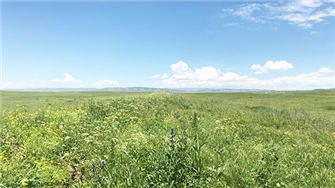 泽库县简介，泽库县有几个乡镇