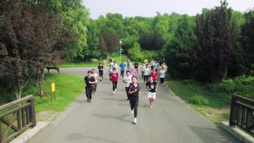 以“让自己奔跑起来”的作文