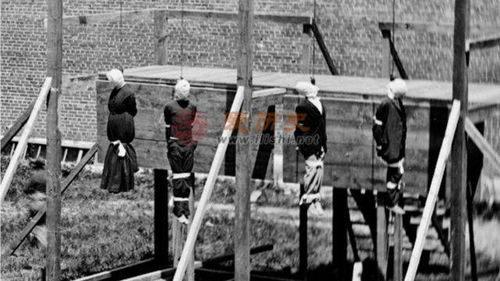 绞刑架下的春天电视剧全集免费观看，绞刑架下的舞蹈