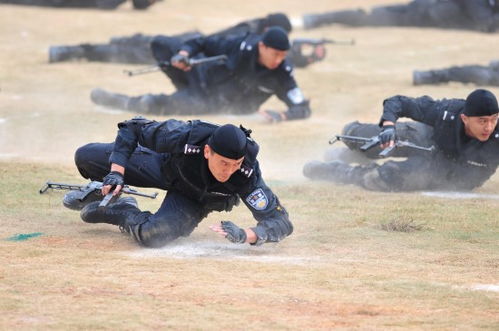 匍匐是什么意思啊