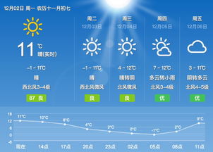 上海市奉贤区2019年12有7号至12月17号天气情况?