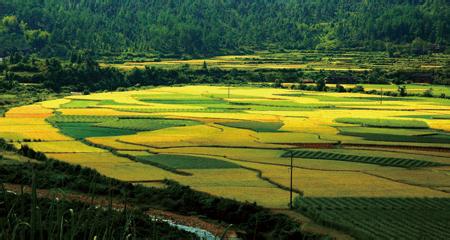 湖南16个县市区暴雪,具体会波及到哪些地区?