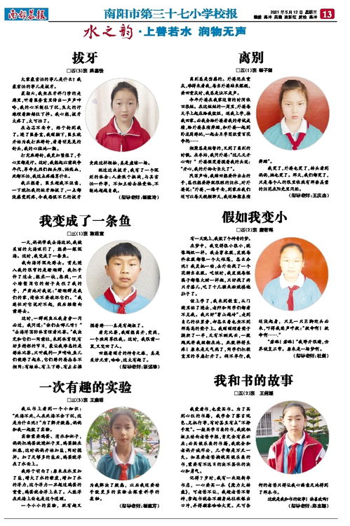 一次有趣的小实验作文300字