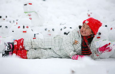 我的雪人选自金波哪本书