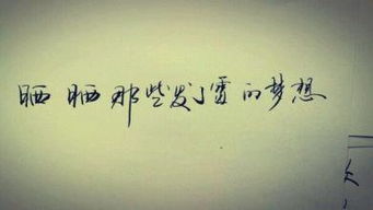 公道自在人心的上一句是什么