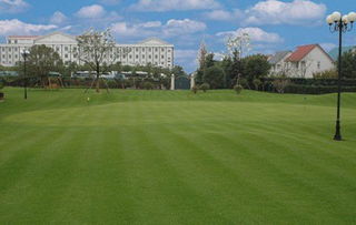 青青旅游世界为何废弃