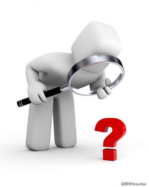 目的是什么意思?