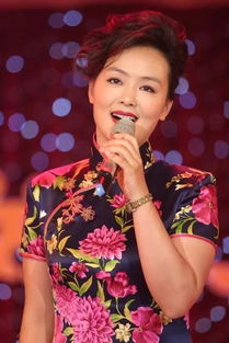 09年孙晓梅朗读的那时你老了那个诗篇的音乐表达了什么情感