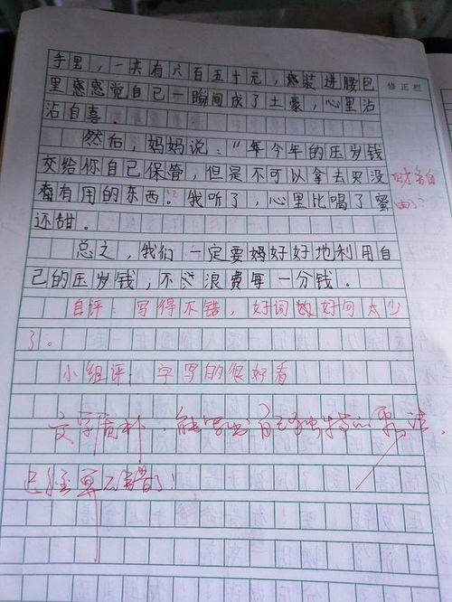 我的压岁钱作文400字四年级，我的压岁钱作文450字